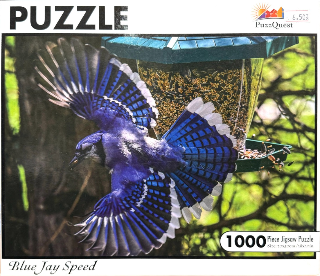 A Blue Jay in flight near a bird feeder in a forest setting.