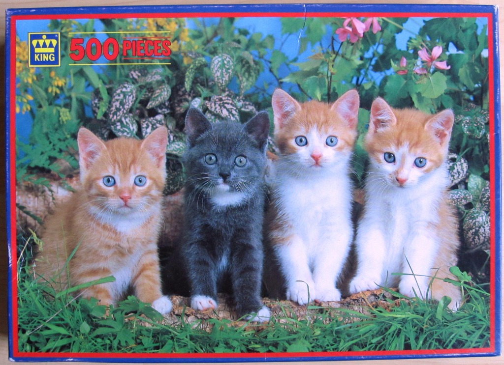 Four kittens sitting in a line in a garden setting.