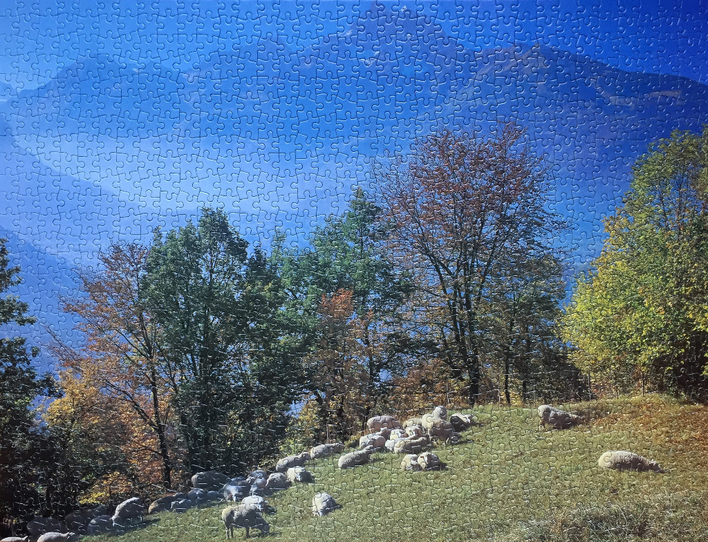 A flock of sheep grazing on a green hillside with autumnal trees and a large blue mountain range in the distance.