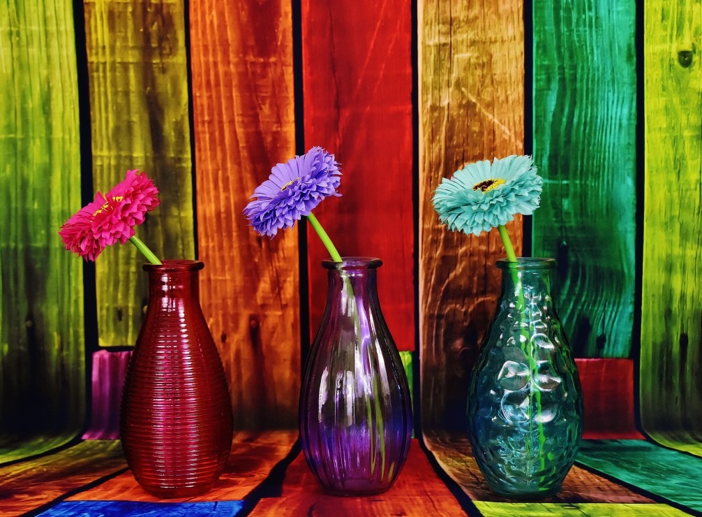 Three brightly colored flowers in textured glass vases against a rainbow-striped wooden backdrop.