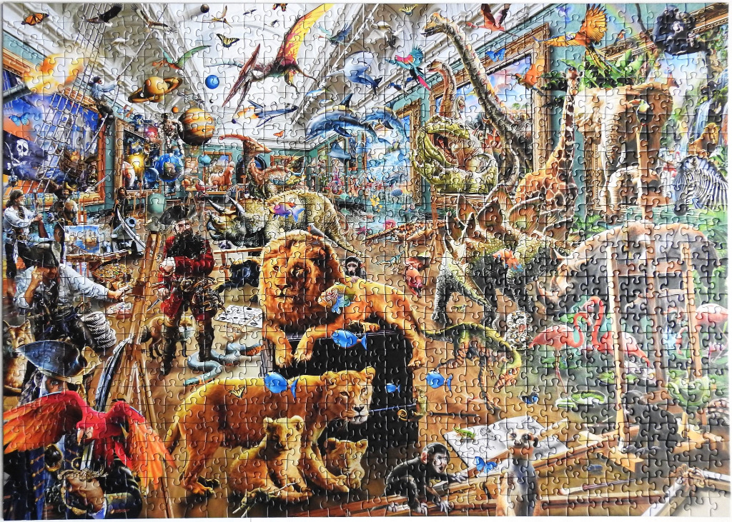 A whimsical illustration of a museum interior filled with pirates, dinosaurs, animals, and space objects.