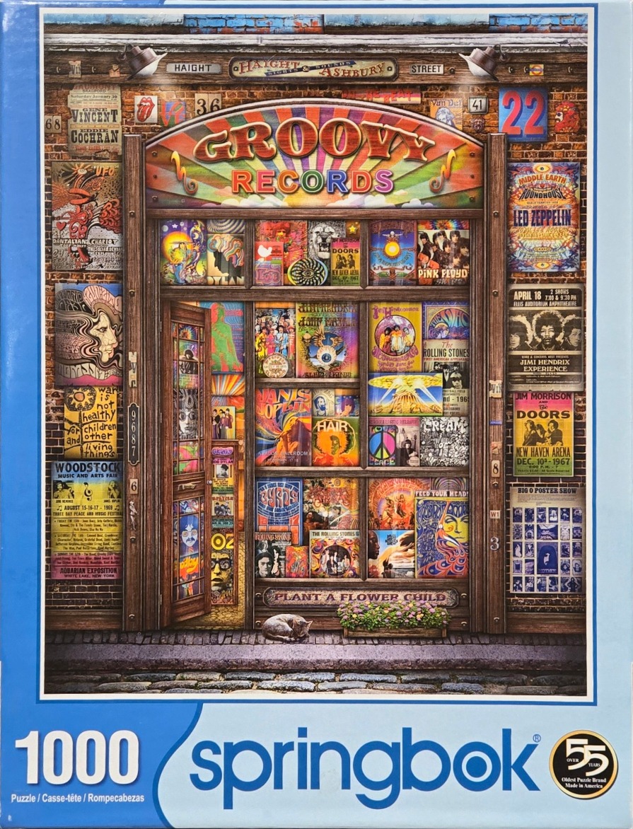 Storefront of Groovy Records covered in vintage 1960s music posters and psychedelic art