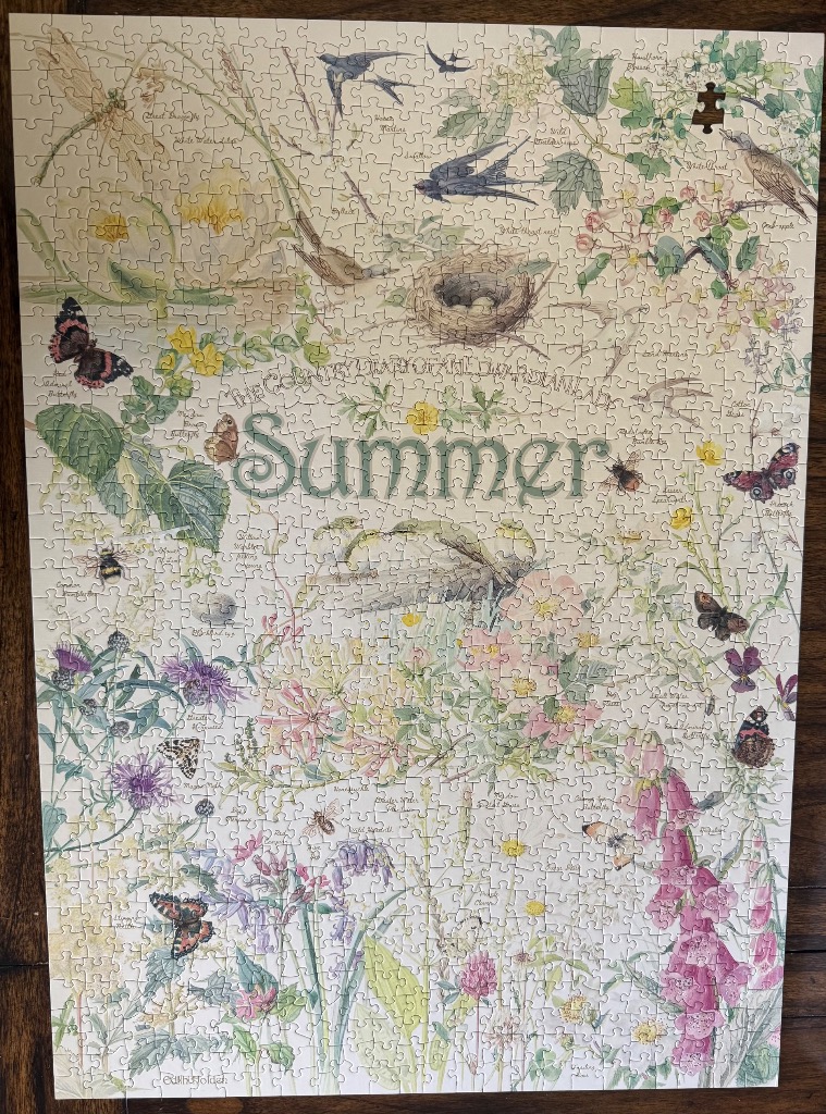 A botanical and wildlife illustration themed around Summer with flowers, insects, and birds.
