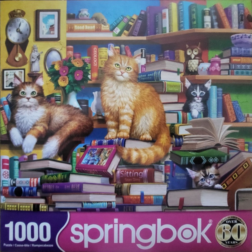 Three cats resting among stacks of books and a wall of bookshelves