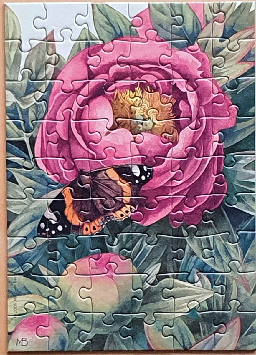 A close-up illustration of a large pink peony flower with a butterfly resting on its petals.