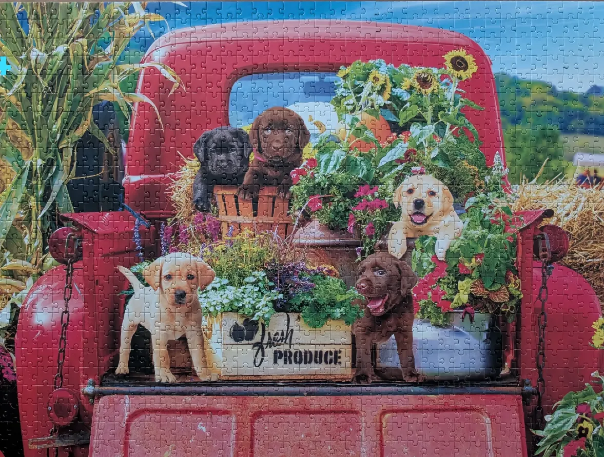 Four puppies sitting in the back of a vintage red truck filled with flowers and a crate labeled Fresh Produce.