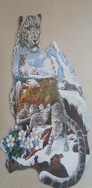 A shaped image of a snow leopard silhouette filled with scenes of snow leopards in mountain landscapes.
