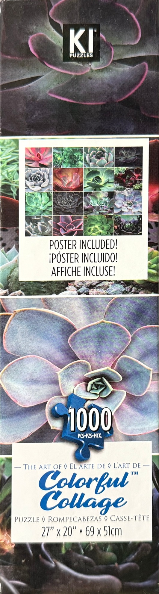 Succulent Plants