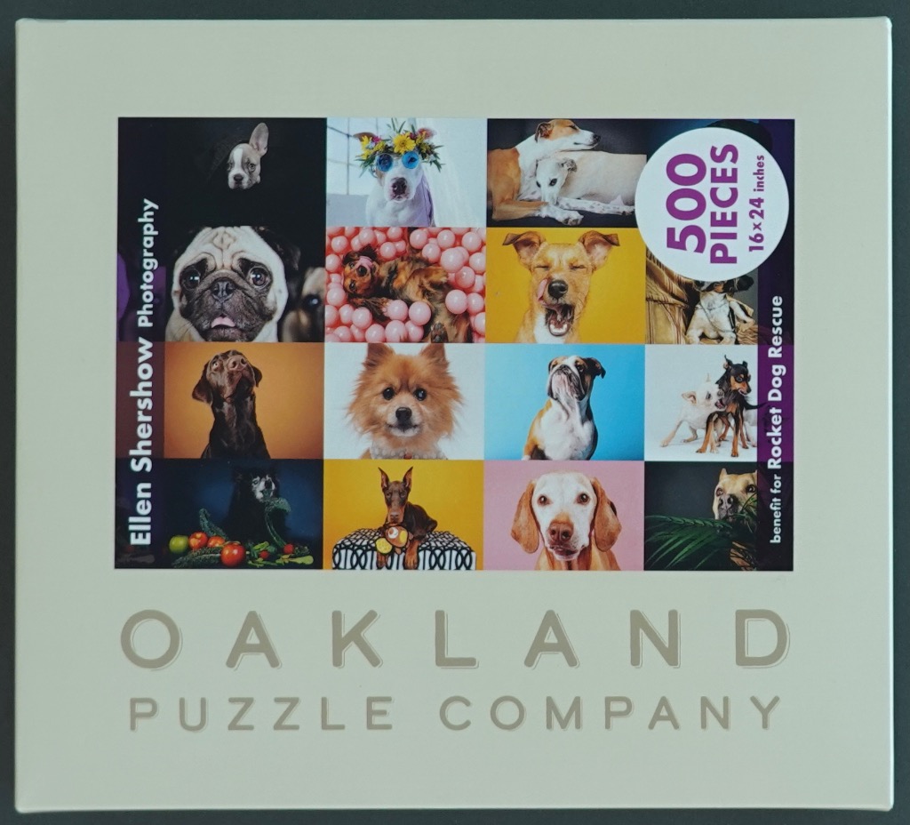 A collage of 15 photographs featuring various dog breeds in different poses and colorful settings.
