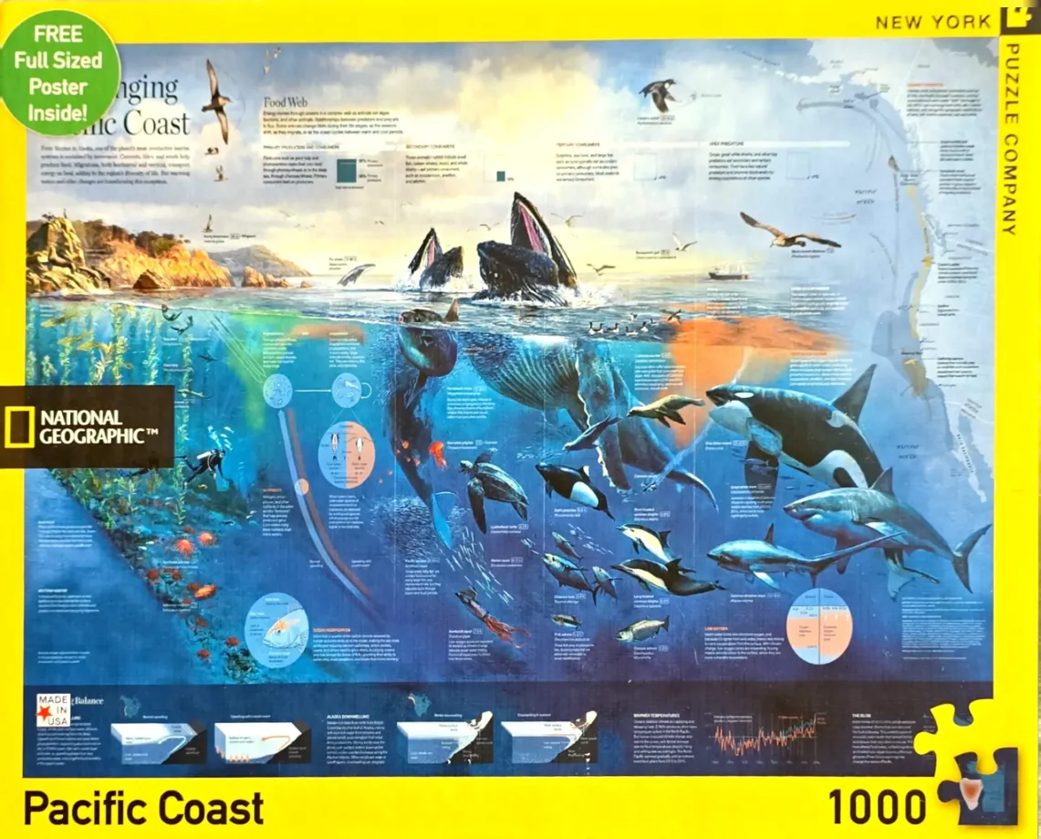 Educational infographic showing a split-view of the Pacific Coast ecosystem with whales, sharks, and marine life.