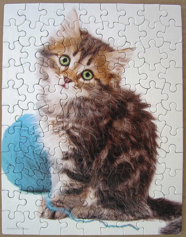 A fluffy, long-haired tabby kitten with bright green eyes sitting next to a ball of blue yarn on a white background.