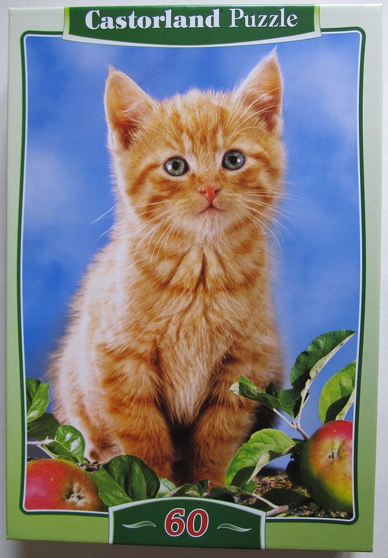 Portrait of an orange tabby kitten sitting in front of apples against a blue background.