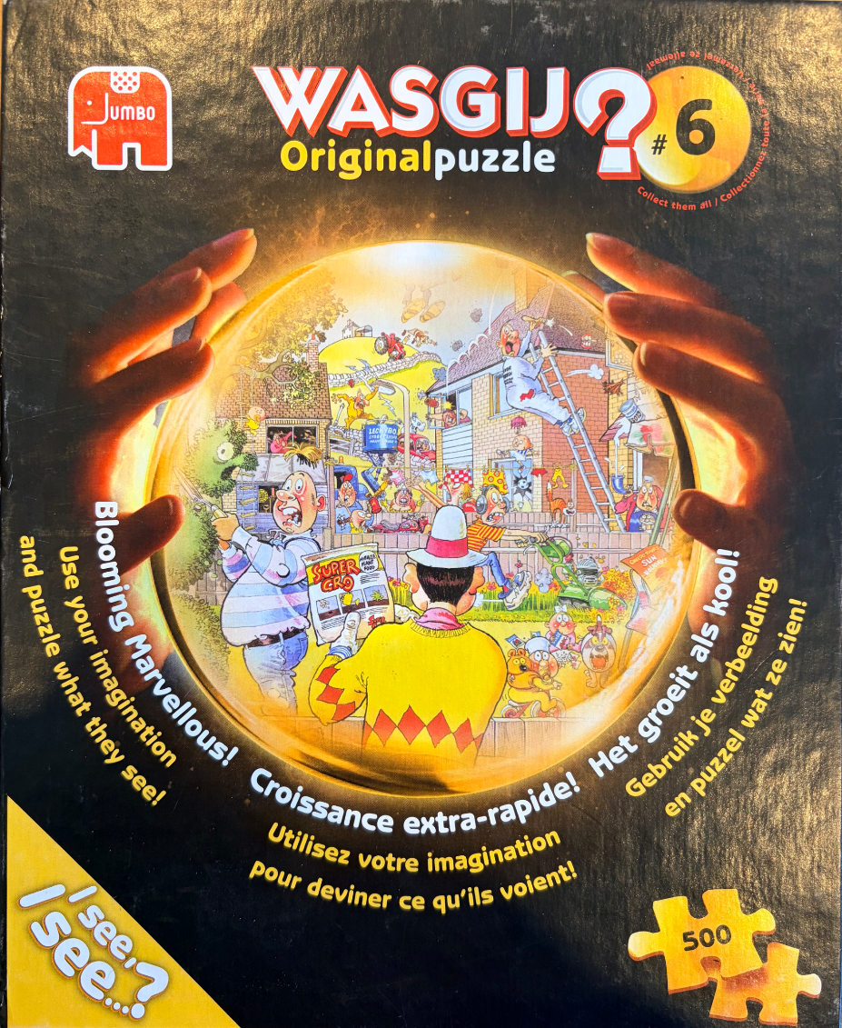 A cartoon illustration of a chaotic suburban backyard seen through a glowing crystal ball held by two hands.