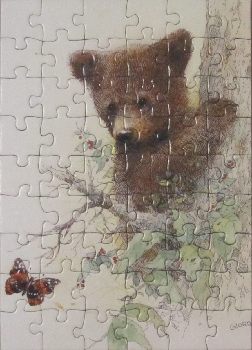 A pencil and watercolor illustration of a cute baby bear cub perched in a tree next to a butterfly.