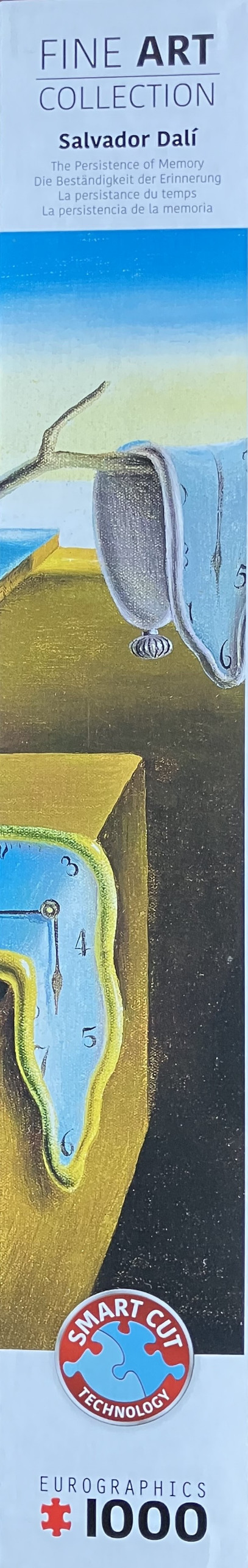 The Persistence of Memory