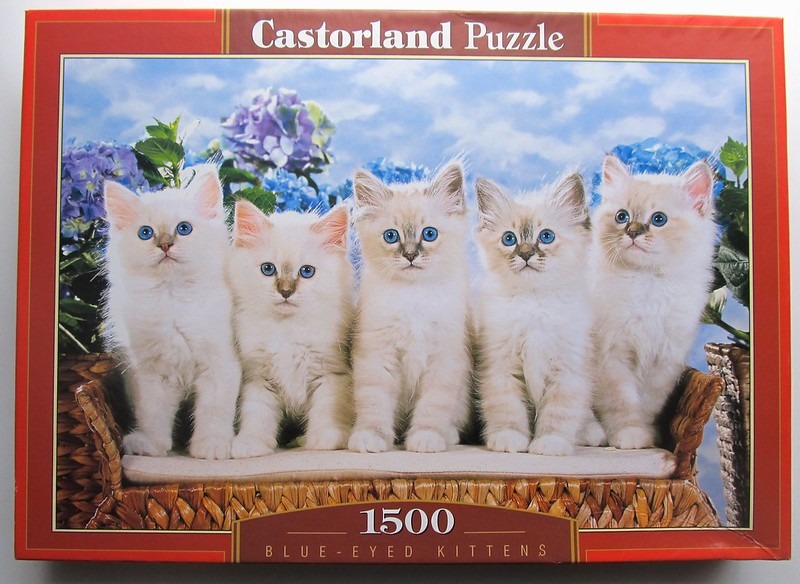 Five fluffy, light-colored kittens with bright blue eyes sitting together on a woven basket.