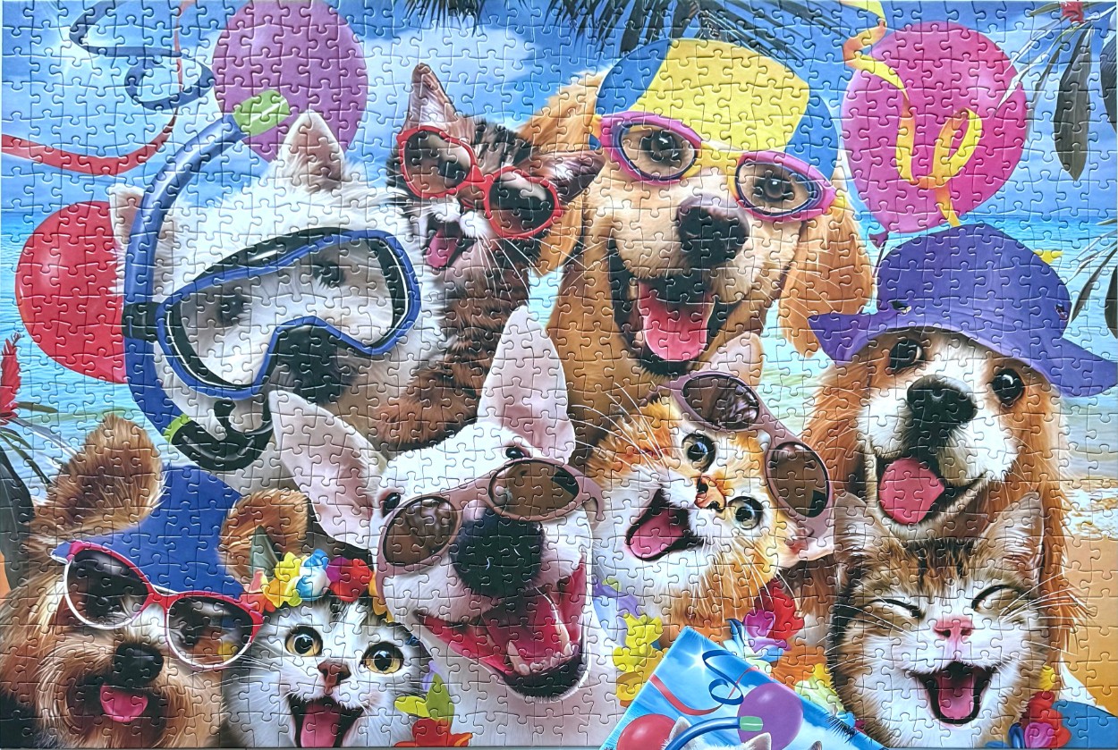 A collection of happy dogs and cats at a beach party wearing sunglasses and hats.