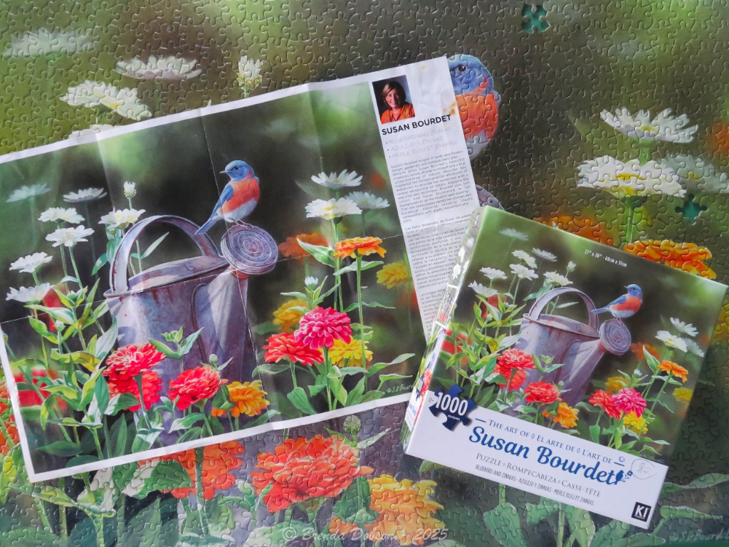 A bluebird perched on an old watering can surrounded by colorful zinnias and white daisies.
