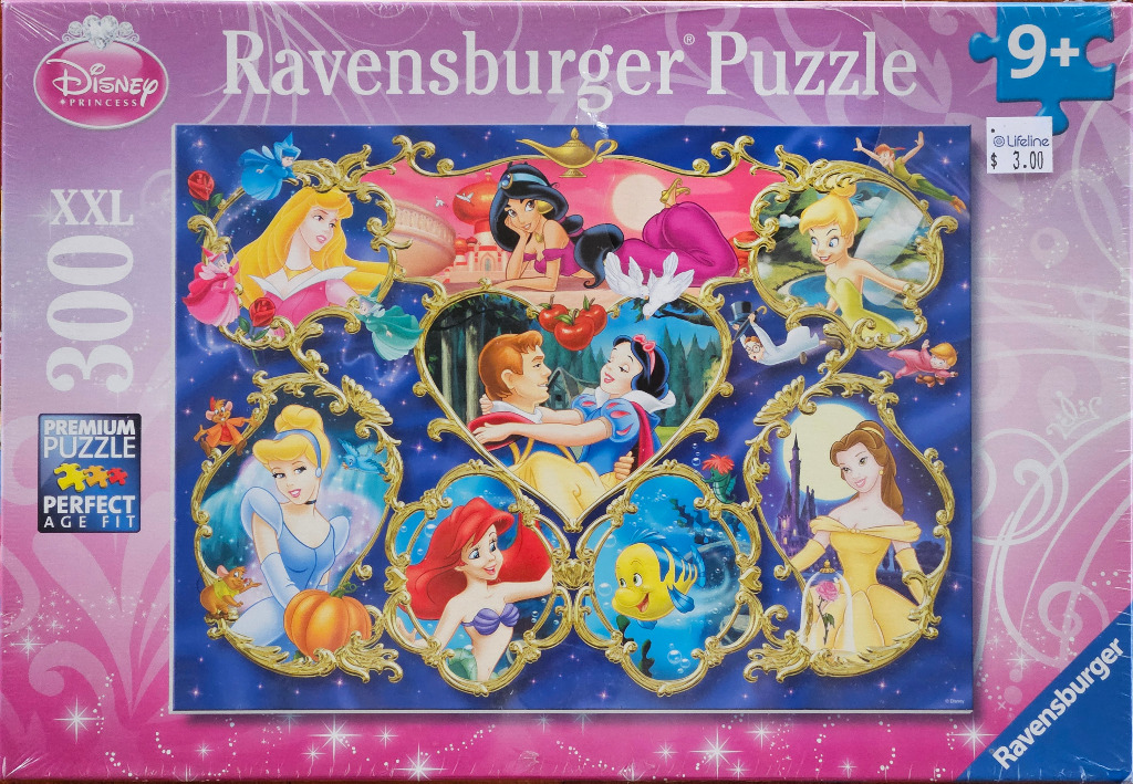 Collage of Disney Princesses including Snow White, Cinderella, Ariel, Belle, Aurora, and Jasmine in ornate gold frames.