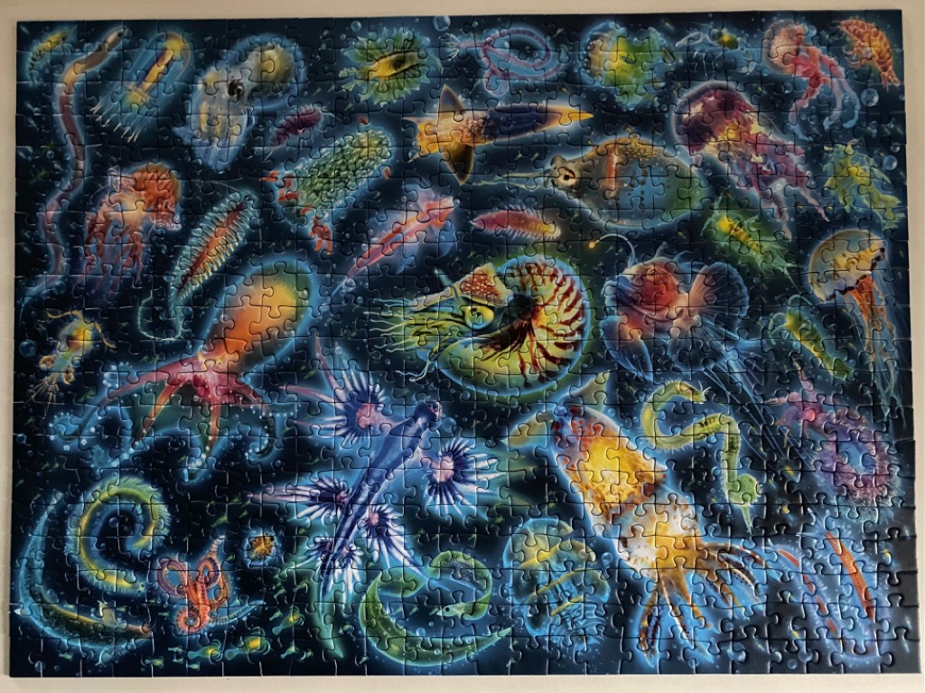 A collection of bioluminescent-style deep sea marine life against a dark blue background.