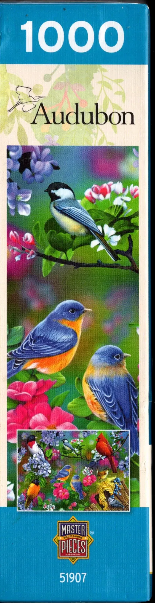 Songbird Collage