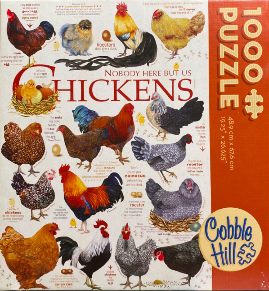 An illustrated educational poster of various chicken breeds with humorous text captions.