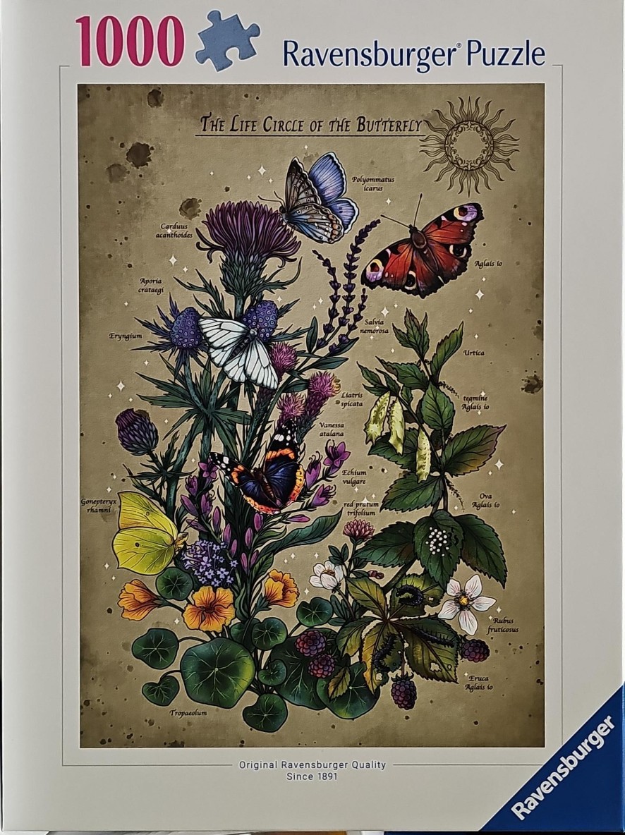 Botanical illustration of butterflies, caterpillars, and their host plants on a vintage paper background.