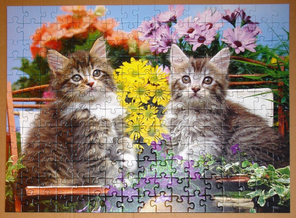 Two fluffy tabby kittens sitting on a garden bench surrounded by colorful spring flowers.
