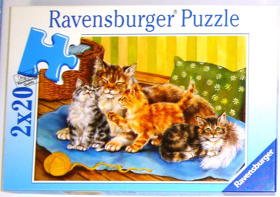 An illustration of four fluffy cats and kittens resting on a blue blanket in a cozy room.