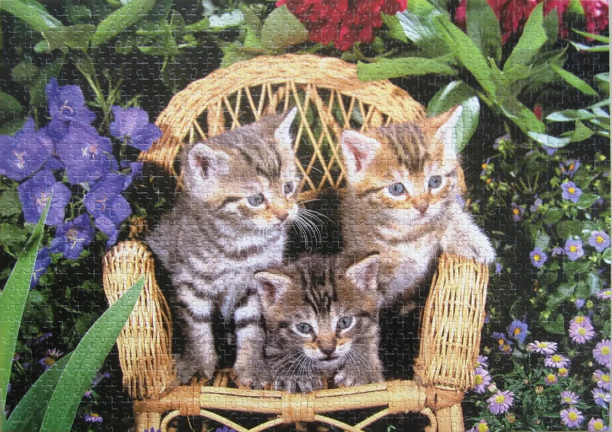 Three tabby kittens sitting on a small wicker chair surrounded by colorful garden flowers.