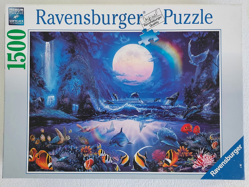 A moonlit coastal scene featuring dolphins, a tropical reef, and a rainbow at night.