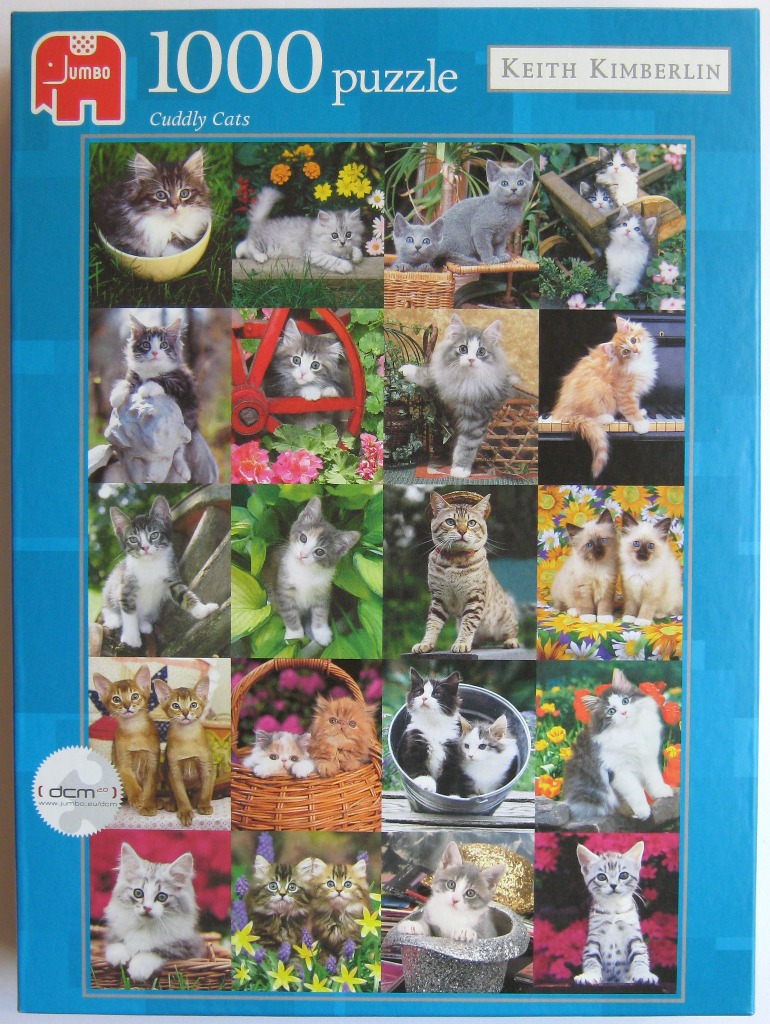 A collage of twenty individual photographs of various kittens in natural and domestic settings.