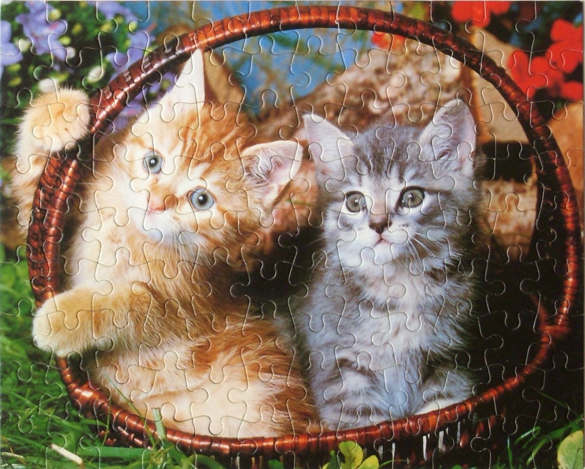 Two kittens, one orange tabby and one grey tabby, sitting inside a dark brown wicker basket outdoors.
