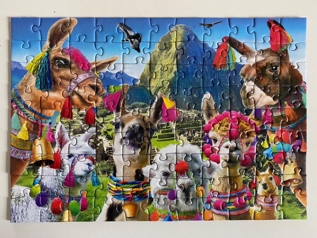 A group of llamas and alpacas decorated with colorful tassels and bells, with Machu Picchu in the background.