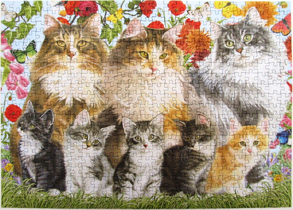 Three adult long-haired cats and five kittens sitting together in a flower garden.