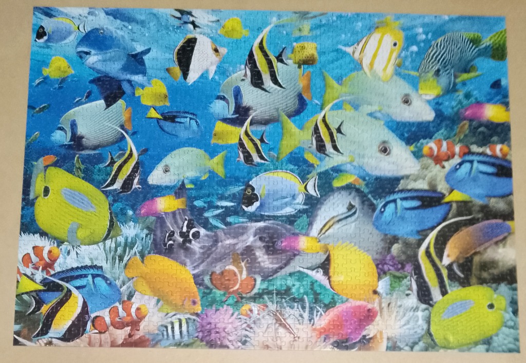 A vibrant, crowded underwater scene filled with various tropical fish, including clownfish, tangs, and angelfish.