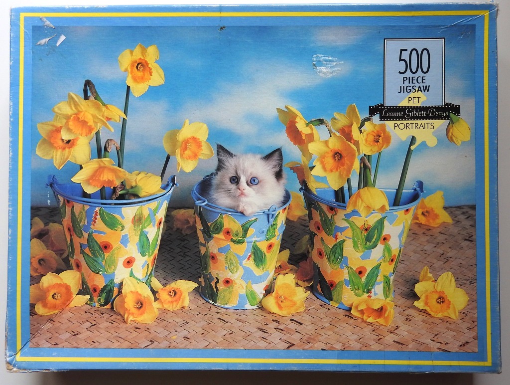 A fluffy kitten with blue eyes peeking out of a bucket surrounded by bright yellow daffodils