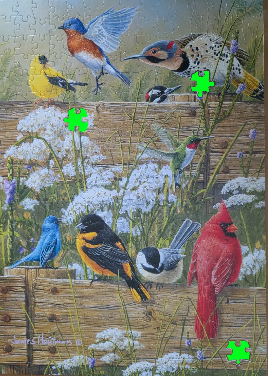 An illustration featuring many different North American songbirds gathered around a rustic wooden fence.