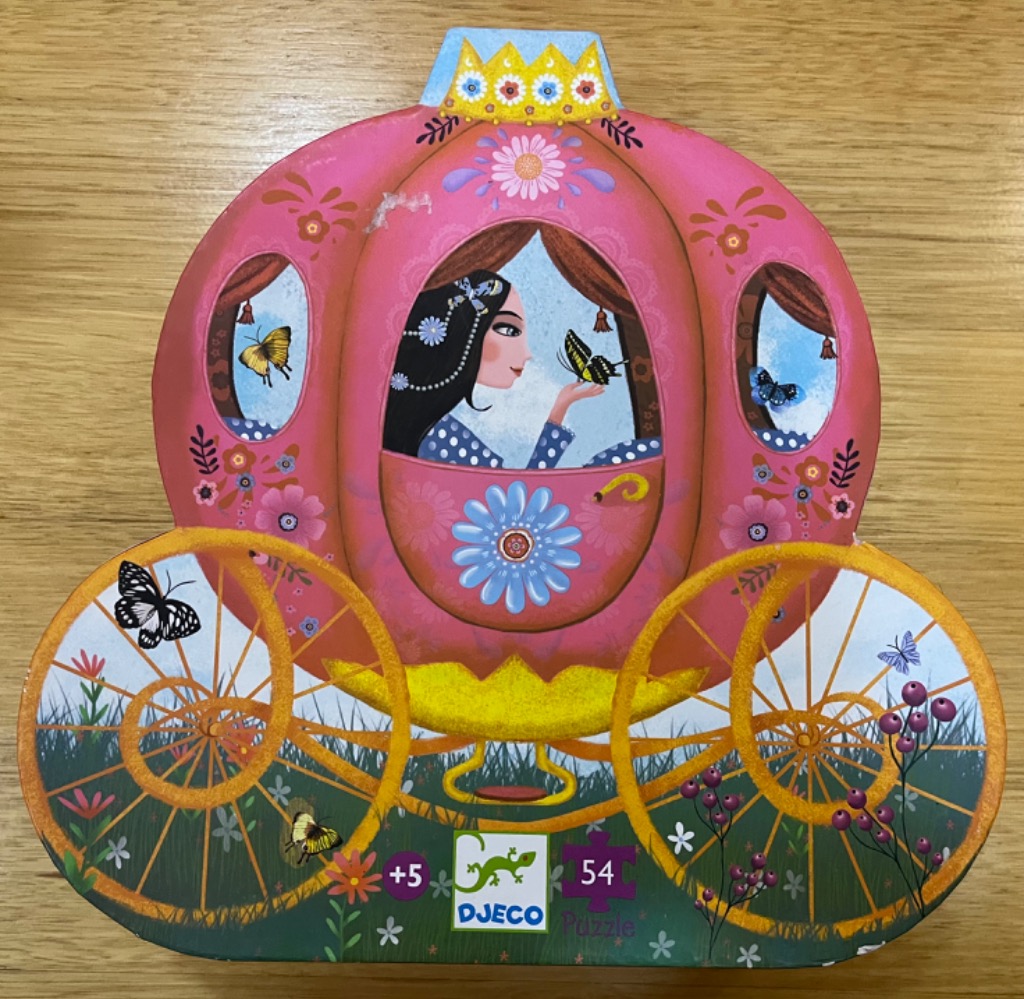 Illustration of a young woman with black hair holding a butterfly inside a pink pumpkin carriage.