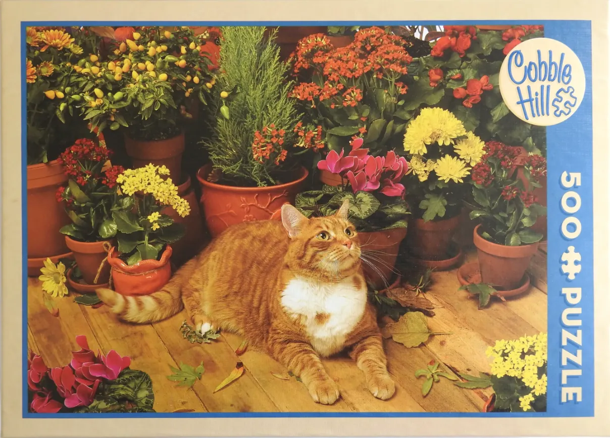 An orange tabby cat sitting on a wooden floor surrounded by various potted flowering plants.