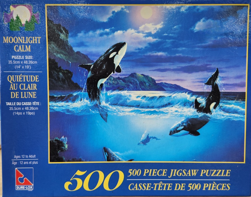 An illustration of several orcas leaping and swimming in a moonlit ocean near rocky cliffs.