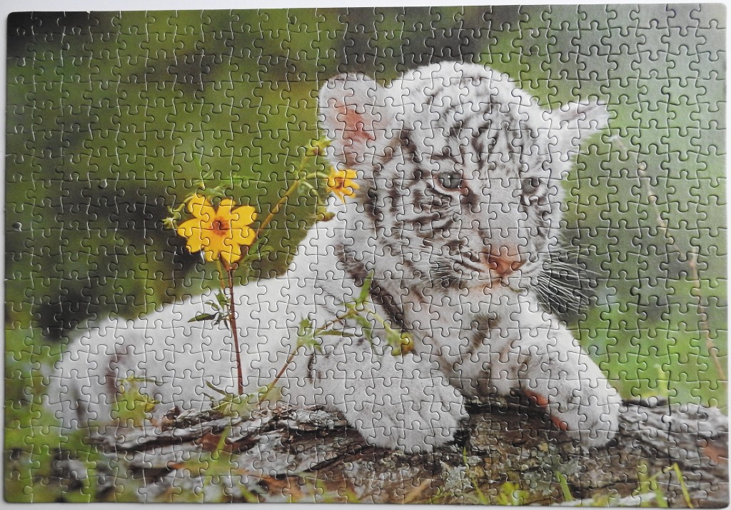 A close-up photograph of a white tiger cub resting on a log near yellow flowers.