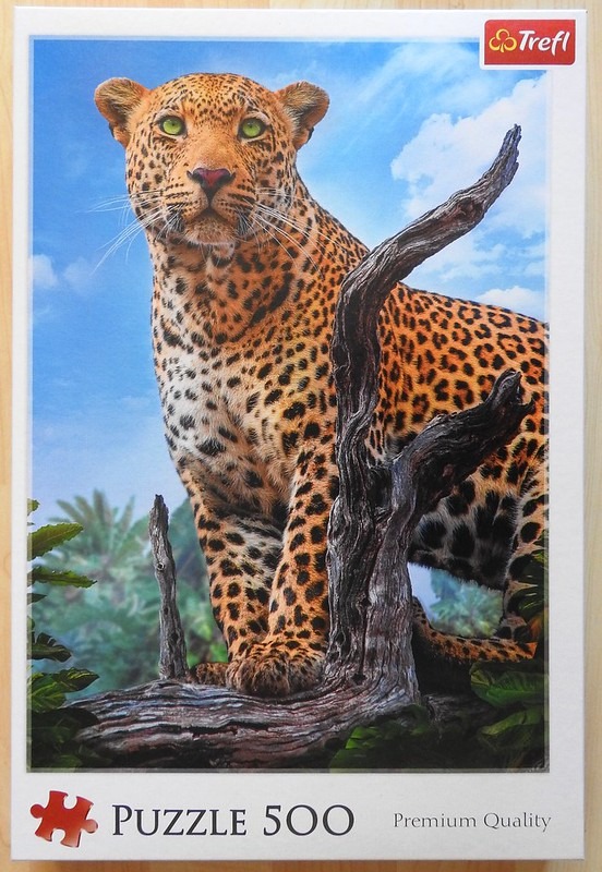 A close-up photograph of a leopard perched on a dead tree branch against a bright blue sky.