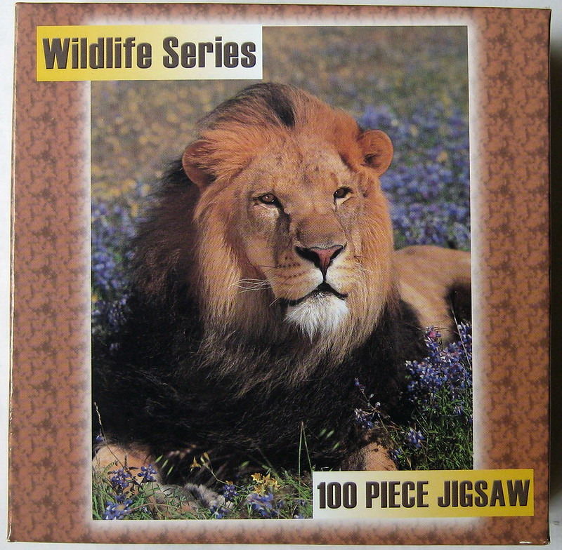 A male lion with a full dark mane resting in a field of blue wildflowers.