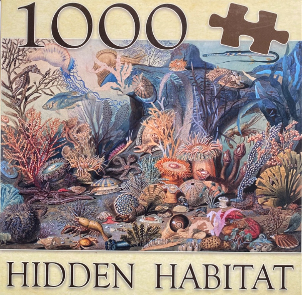 Intricate illustration of a dense underwater coral reef ecosystem filled with various sea creatures and plants.