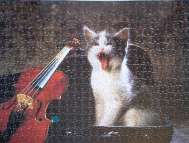 A grey and white kitten yawning inside a violin case next to a wooden violin.