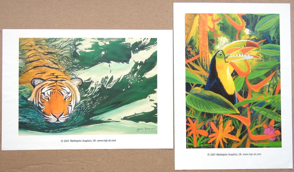 Two side-by-side illustrations of wildlife: a swimming tiger and a toucan in a tropical forest.
