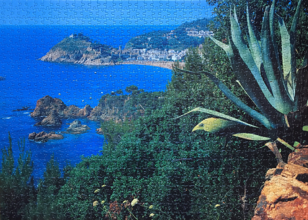 Coastal Mediterranean town overlooking a deep blue sea with a prominent agave plant in the foreground.