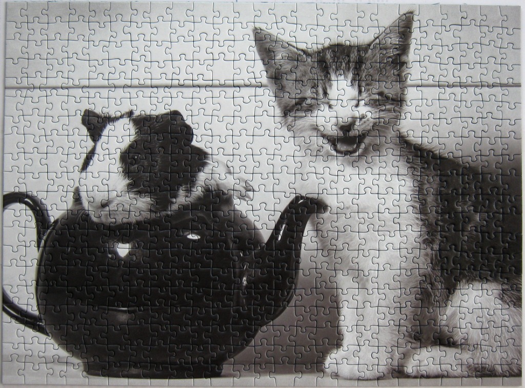 A black and white photograph of a guinea pig in a teapot next to a kitten.