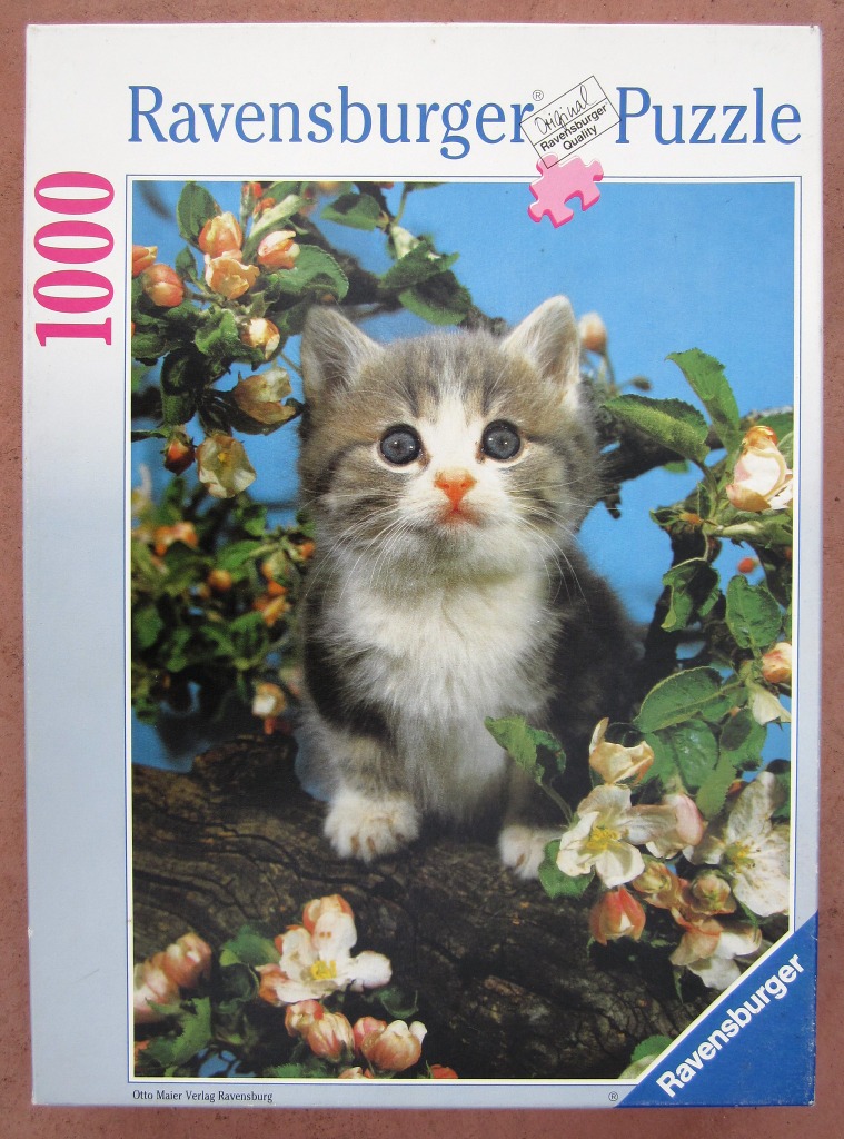 A fluffy grey and white kitten sitting on an apple tree branch amidst light pink blossoms.